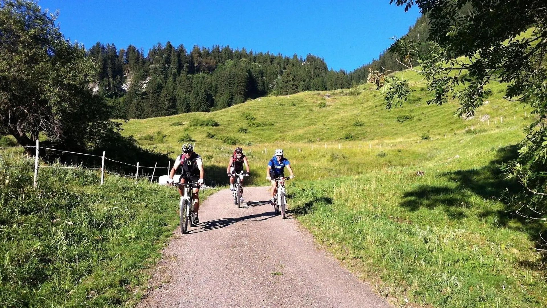 Griass Di Apartment Oy-Mittelberg